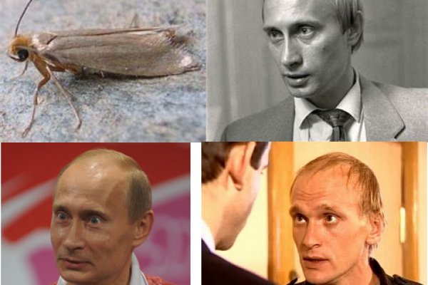 Kraken ссылка тг