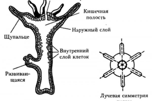 Купить наркотики в москве