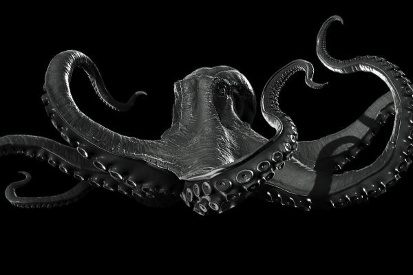 Kraken 18 at