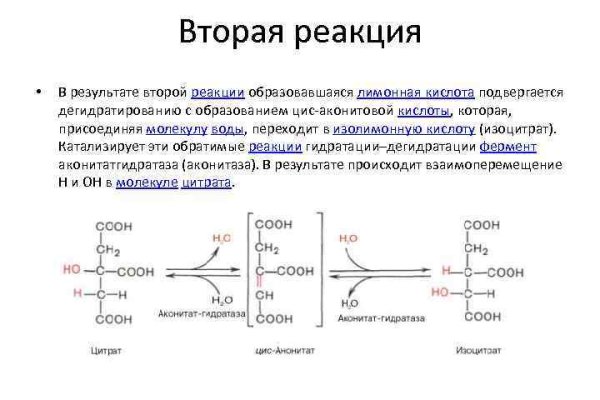 Кракен даркнет тг
