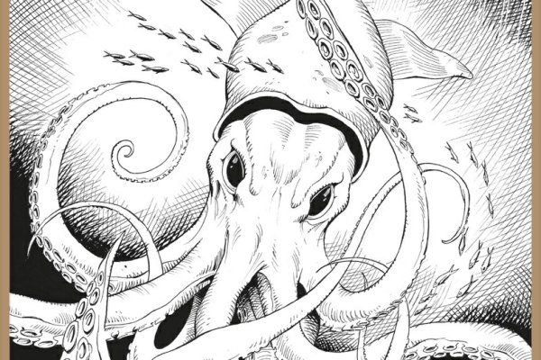 Kraken 6 at