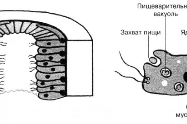 Кракен 22