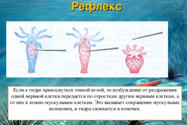 Кракен упал