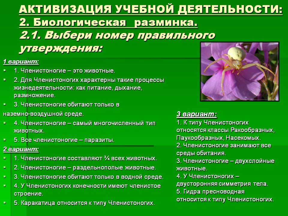 Где купить наркотиков